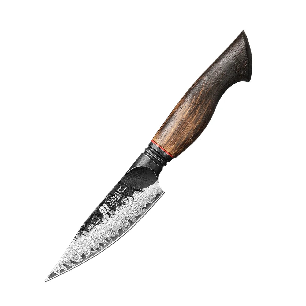 Damascus Steel Kitchen Knife Set 1–5pcs – 10Cr15CoMov Core